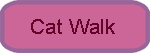 Catwalk